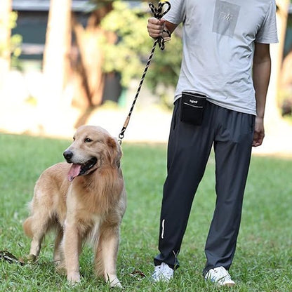 laisse chien | fidlaisse - tendressechien.com